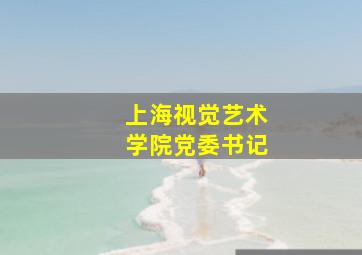 上海视觉艺术学院党委书记