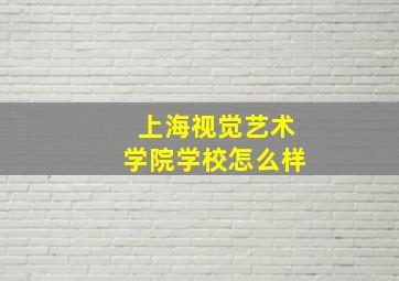 上海视觉艺术学院学校怎么样