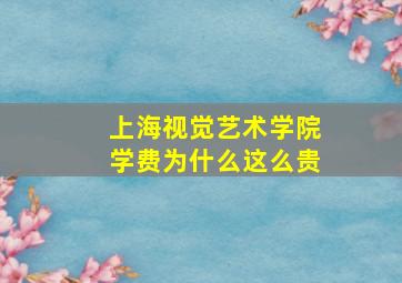 上海视觉艺术学院学费为什么这么贵