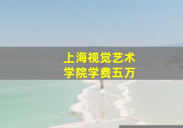 上海视觉艺术学院学费五万