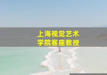 上海视觉艺术学院客座教授