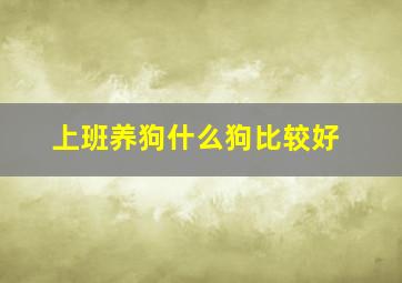 上班养狗什么狗比较好