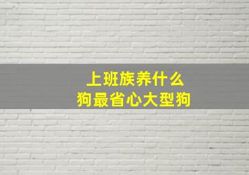 上班族养什么狗最省心大型狗