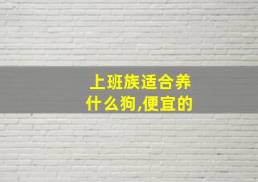 上班族适合养什么狗,便宜的