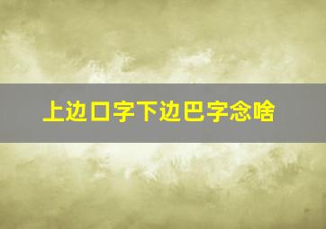 上边口字下边巴字念啥