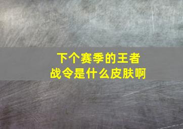 下个赛季的王者战令是什么皮肤啊