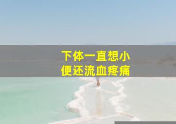 下体一直想小便还流血疼痛