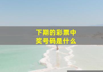 下期的彩票中奖号码是什么