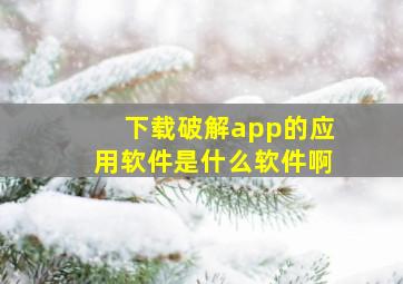 下载破解app的应用软件是什么软件啊