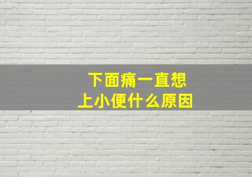 下面痛一直想上小便什么原因