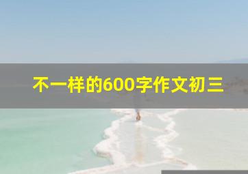 不一样的600字作文初三