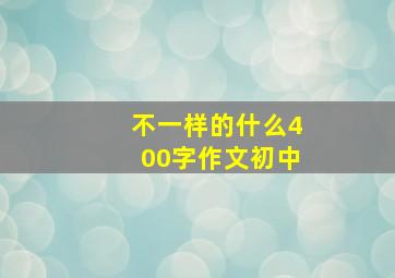 不一样的什么400字作文初中