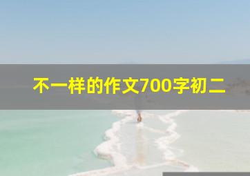 不一样的作文700字初二