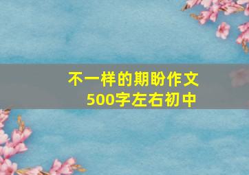 不一样的期盼作文500字左右初中