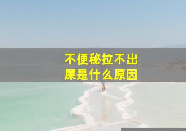 不便秘拉不出屎是什么原因