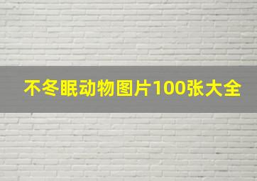 不冬眠动物图片100张大全