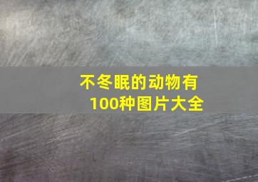 不冬眠的动物有100种图片大全