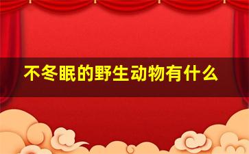 不冬眠的野生动物有什么