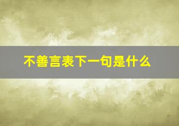 不善言表下一句是什么