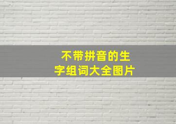 不带拼音的生字组词大全图片