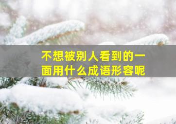 不想被别人看到的一面用什么成语形容呢