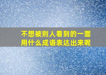 不想被别人看到的一面用什么成语表达出来呢