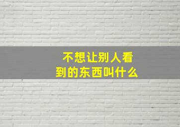 不想让别人看到的东西叫什么