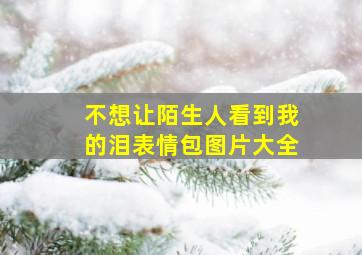 不想让陌生人看到我的泪表情包图片大全