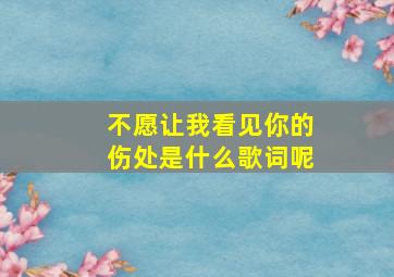 不愿让我看见你的伤处是什么歌词呢