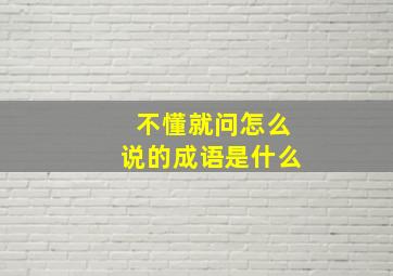 不懂就问怎么说的成语是什么