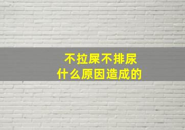 不拉屎不排尿什么原因造成的