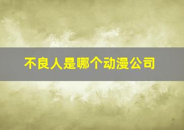 不良人是哪个动漫公司