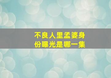 不良人里孟婆身份曝光是哪一集