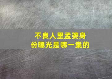 不良人里孟婆身份曝光是哪一集的