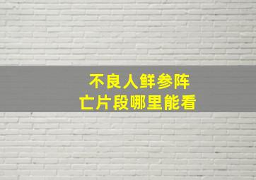 不良人鲜参阵亡片段哪里能看