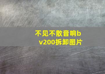 不见不散音响bv200拆卸图片