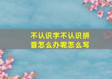 不认识字不认识拼音怎么办呢怎么写