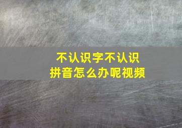 不认识字不认识拼音怎么办呢视频