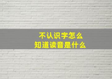 不认识字怎么知道读音是什么