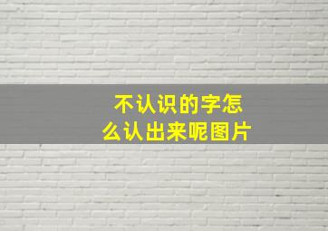 不认识的字怎么认出来呢图片