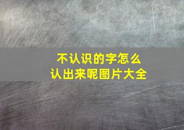 不认识的字怎么认出来呢图片大全