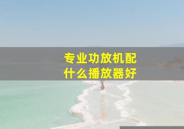 专业功放机配什么播放器好