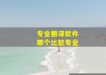 专业翻译软件哪个比较专业