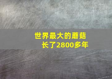 世界最大的蘑菇长了2800多年