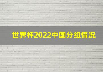 世界杯2022中国分组情况