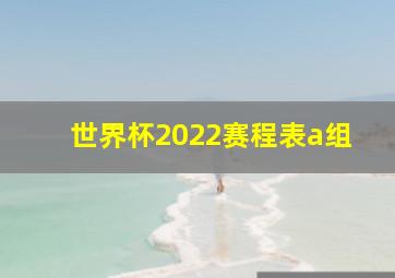 世界杯2022赛程表a组