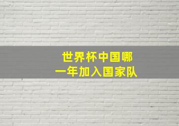 世界杯中国哪一年加入国家队