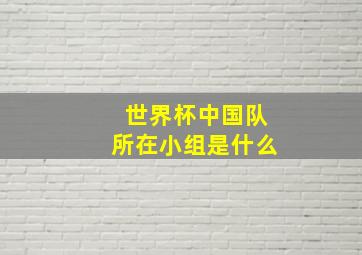 世界杯中国队所在小组是什么