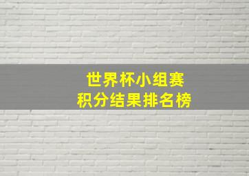 世界杯小组赛积分结果排名榜