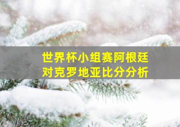 世界杯小组赛阿根廷对克罗地亚比分分析